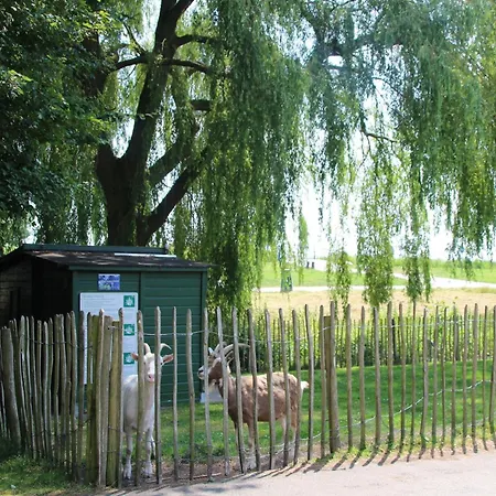 Holiday home With Garden *